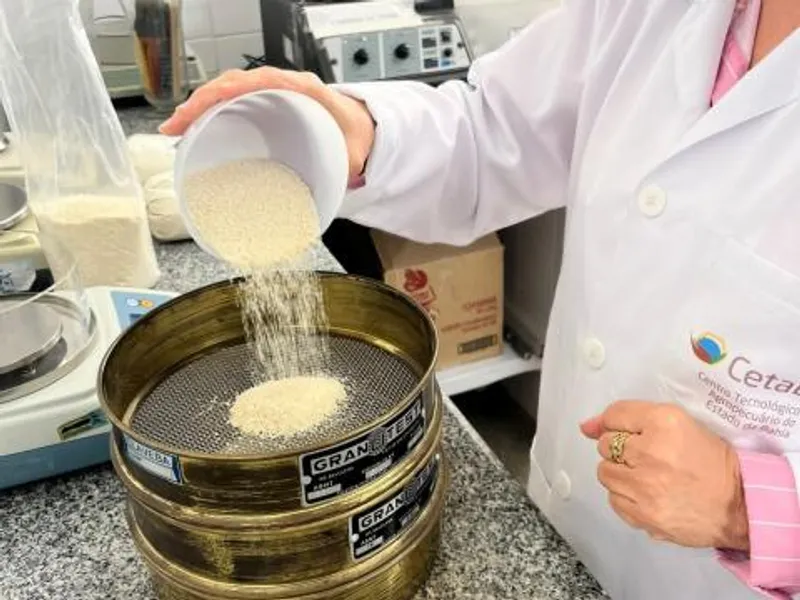 CETAB assegura qualidade da farinha de mandioca em meio à valorização do produto