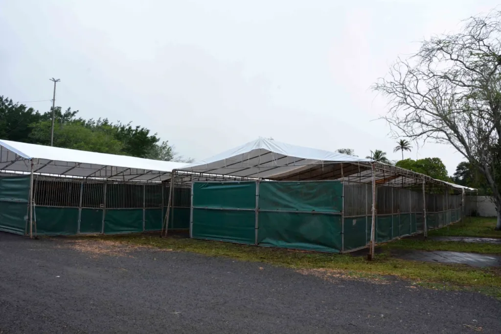 500 baias móveis serão instaladas no Parque de Exposição para a 46ª Expofeira